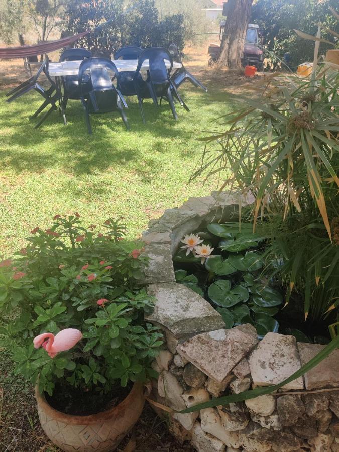 Chez Rothman Sublet Appartamento Shadmot Devora Esterno foto